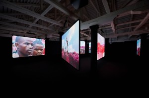 The Enclave, installation view