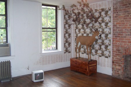 Installation view